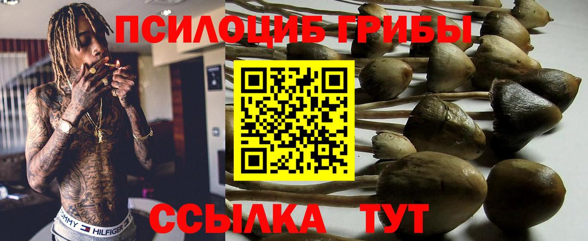 APVP СК кристаллы  Апатиты  ГАШ  Конопля  Гашиш  Вход с VPN  Вейп ТГК  Купить наркотик  МЕФ кристаллы 