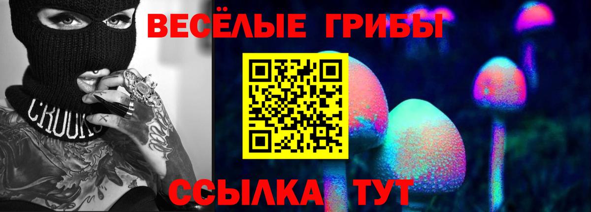 Псилоцибиновые грибы GOLDEN TEACHER  Вход с VPN  Апатиты 